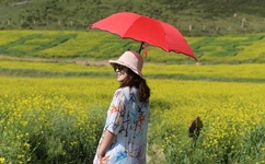 塞跳D开最大挡不能掉老师现场看